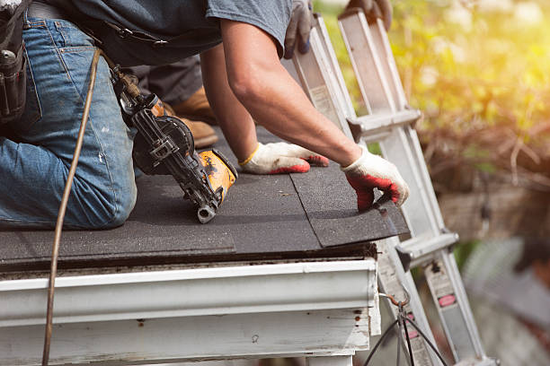 Best Shingle Roofing Installation  in Waterloo, WI
