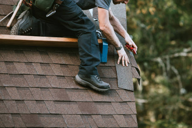 Best New Roof Installation  in Waterloo, WI