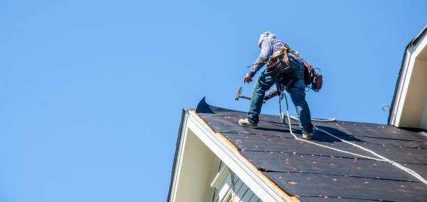 Best Residential Roofing Contractor  in Waterloo, WI